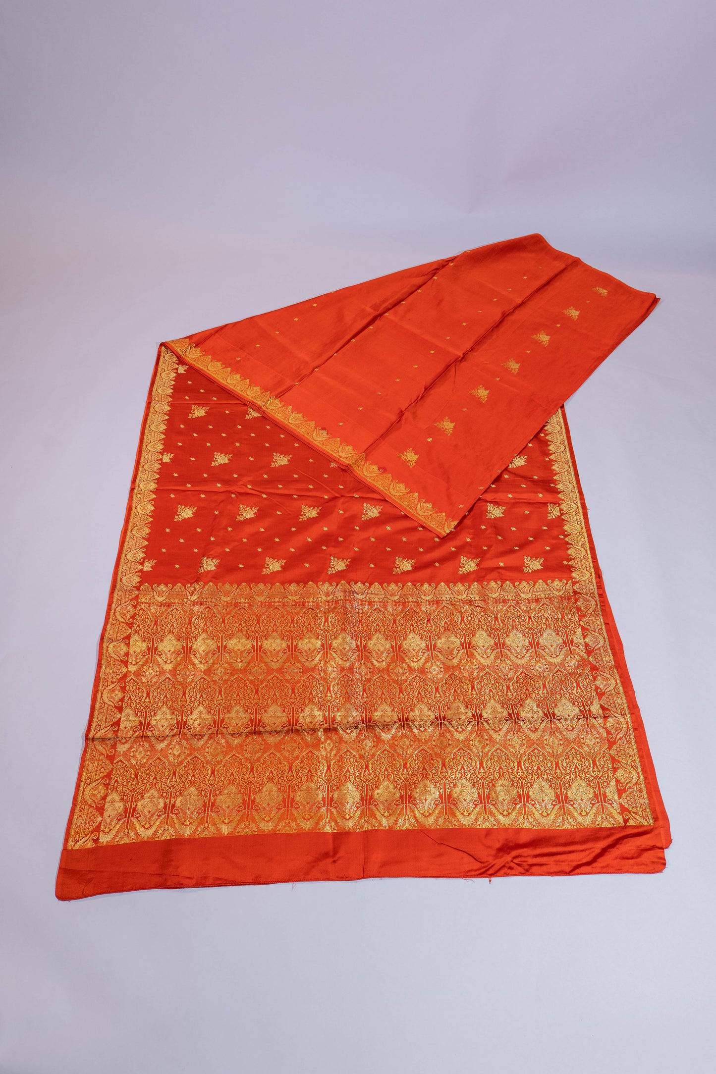 Aparaye~Rust & Golden Banarsee Saree