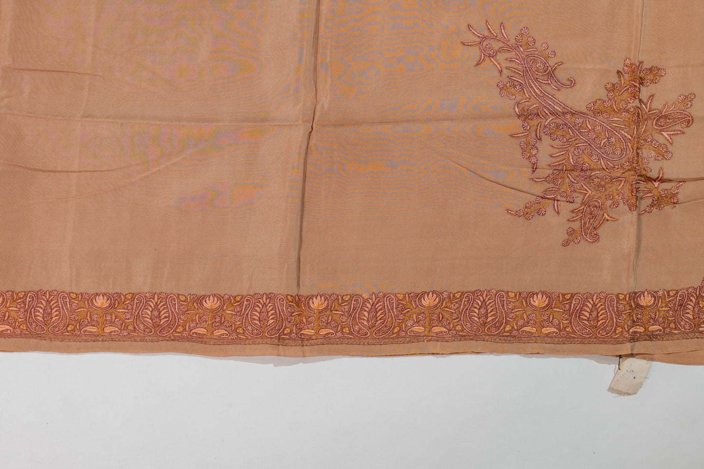 Sarvgataye~Beige Pure Crepe Sozni Saree
