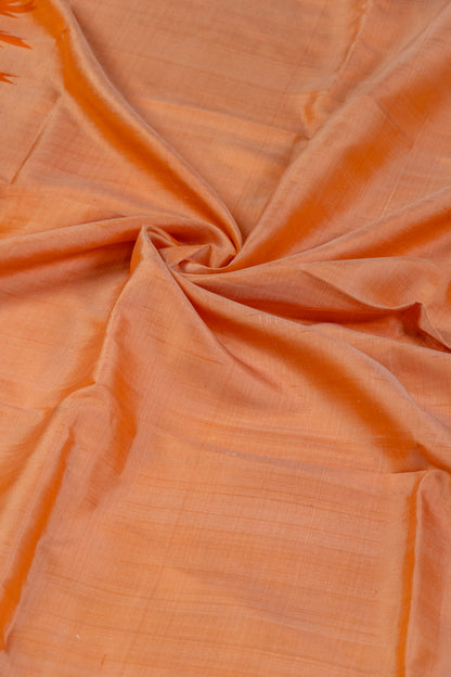 Chandramaulika~ Zero Zari Kanjeevaram Silk Saree – Tamil Nadu’s Grace in Pure Form