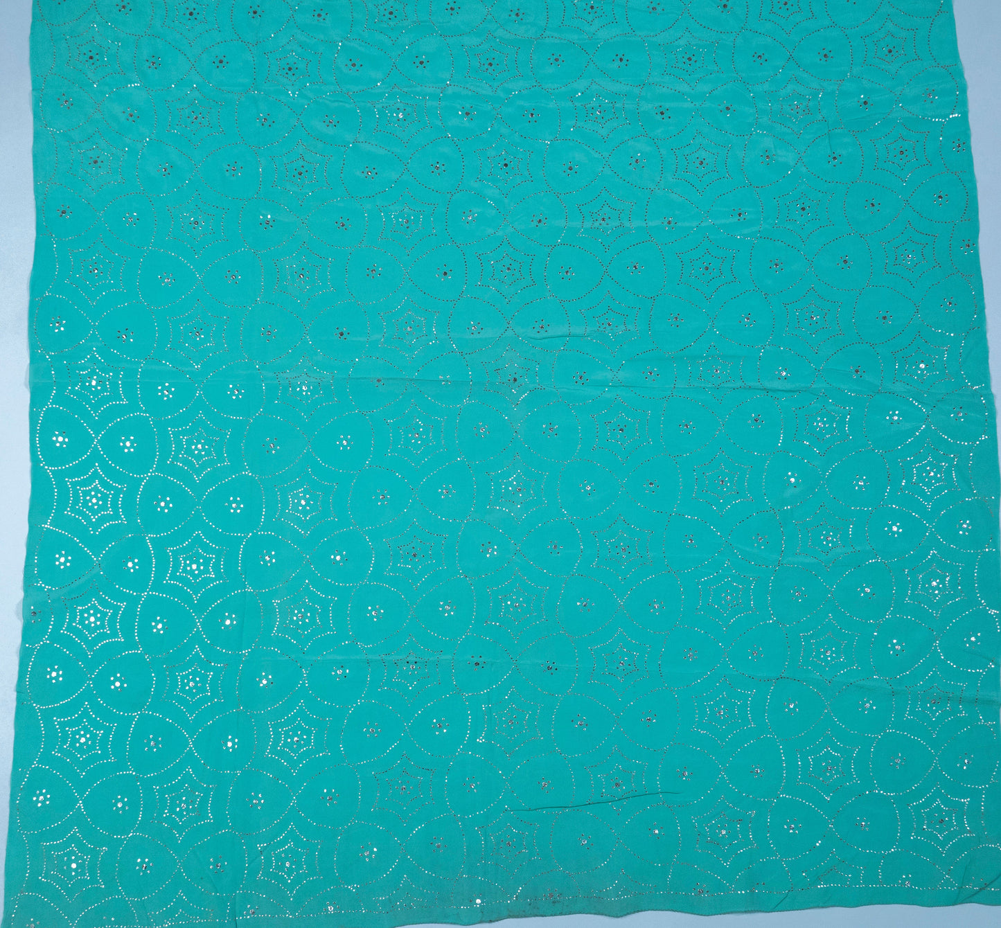 Brahmkamal~ Ice Green Muquaish Crepe Silk Saree – Lucknow’s Subtle Sparkle in Every Thread