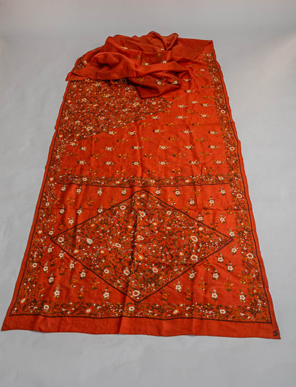 Anupama - Rust Hand Embroidered Saree