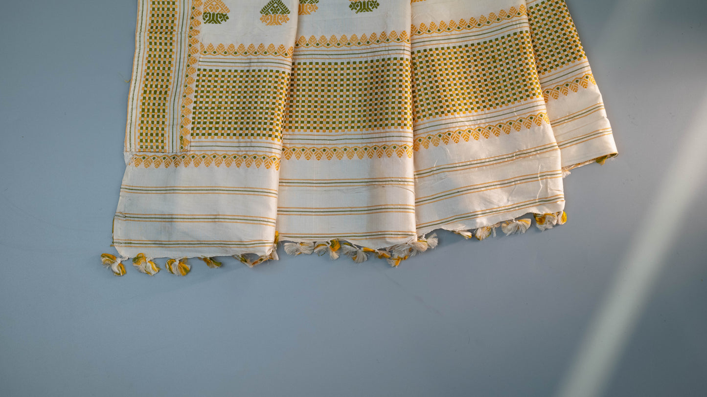 Chitrani - Assam Weave Pure Mulberry Silk Saree