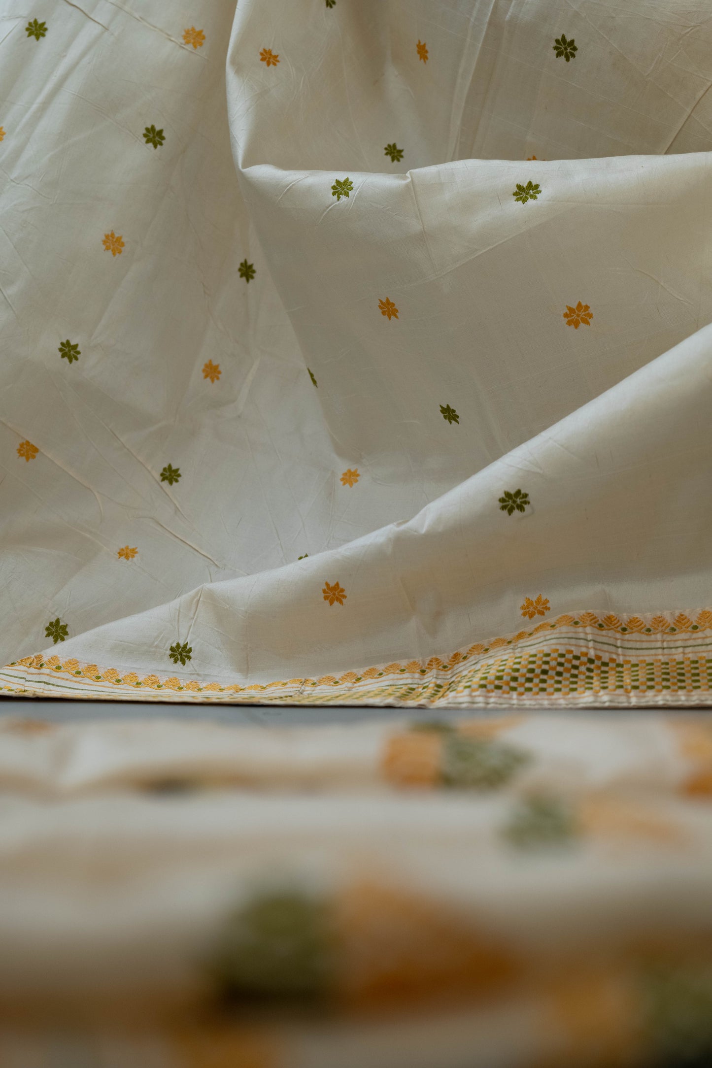 Chitrani - Assam Weave Pure Mulberry Silk Saree