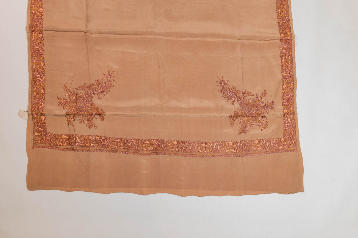 Sarvgataye~Beige Pure Crepe Sozni Saree