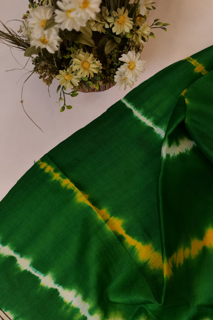 Abhyudaya~Bishnupuri Silk Saree Shibori with Kalamkari
