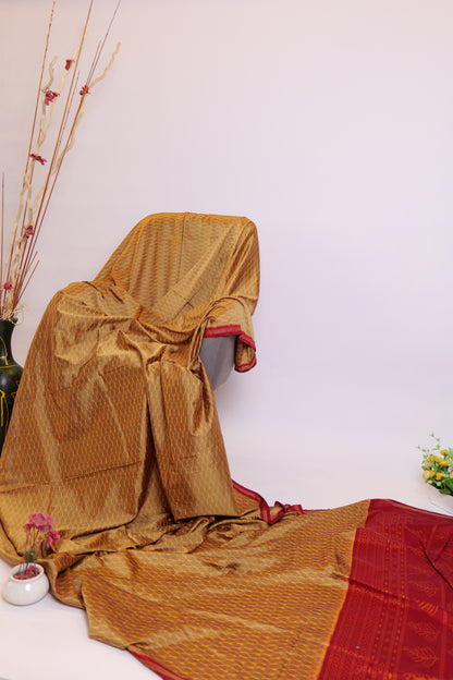 Samartha~Ikkat saree Multicolour